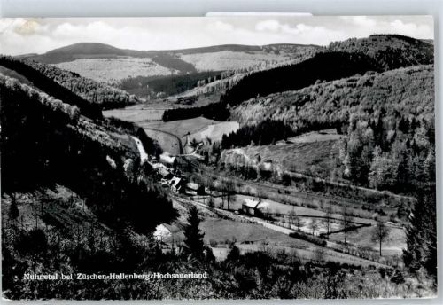 59955 W5788 Züschen , Westf - Nuhnetal AKU2