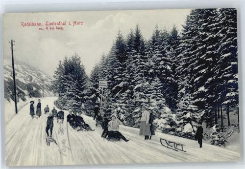 38685 W3394 Lautenthal - Rodelbahn