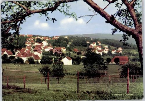 Vielbrunn Gesamtansicht