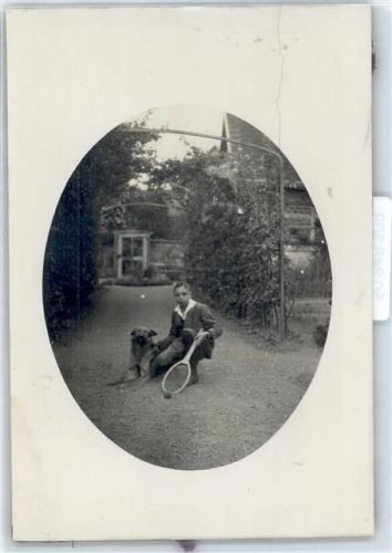Schäferhund , Foto