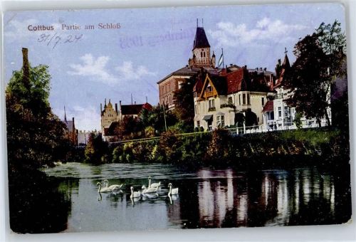 Cottbus Partie am Schloß, Schwan