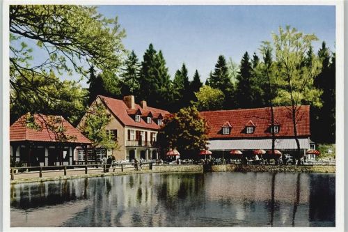 Leopoldstal Waldrestaurant Pension "Silbermühle"