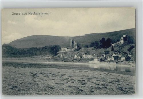 Neckarsteinach Burg