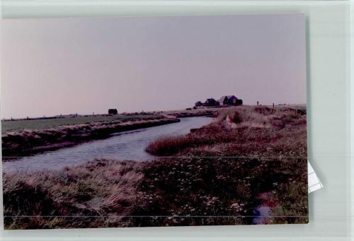 Langeneß
