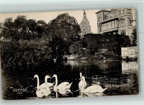 Ottensee 1907 Albanibro Schwäne