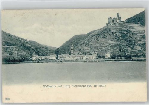 Wellmich Burg Thurnberg gen. die Maus