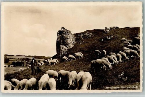 1940 Schäfer auf der Schwäb. Alb-Landschaft