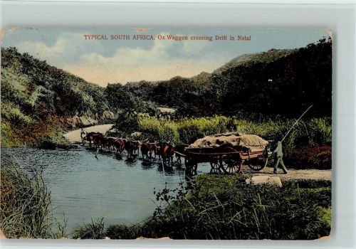 Waggon crossing Drift in Natal