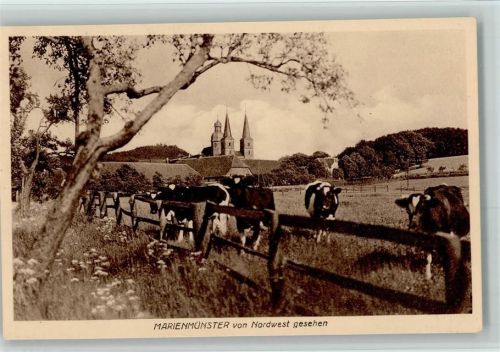 Marienmünster Kloster von Nordwest gesehen Kühe