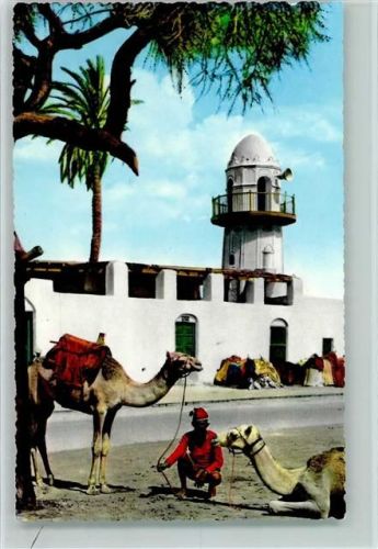 Aden Camels outside Sheikh Othman Mosque