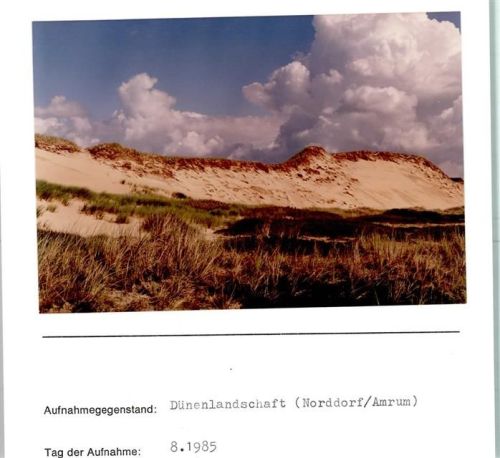 Norddorf Dünen Foto montiert auf Karton