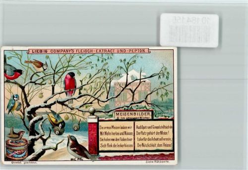 Singvögel im Winter - Meisenbilder Nr. 6 Sammelbild Liebig