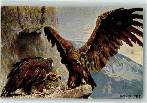 sign Hans Schmidt - Adler - Tucks Karte 584 B