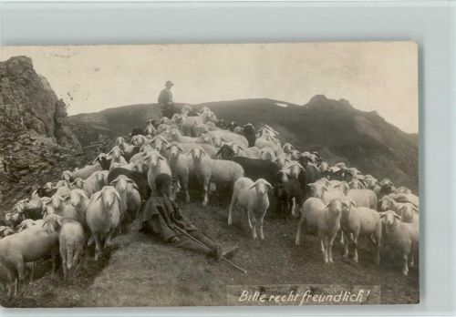 1924 Schafherde mit Schäfer - Freibettenfond für unbemittelte Lungenkranke - Spendenkarte
