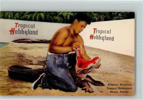 Miami Alligator Wrestling Tropical Hobbyland