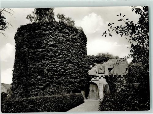 Friedewald Rückseite mit Abschürfungen bzw Kleberesten Burgeingang