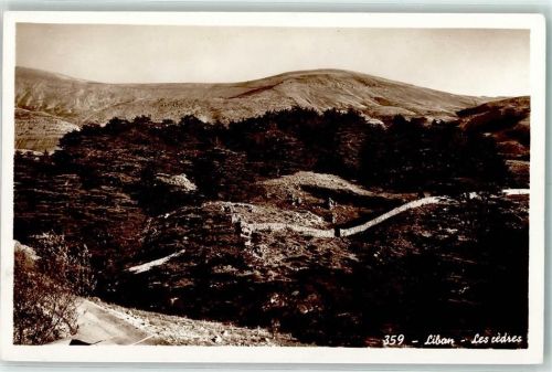 Beirut 1952 Liban - The Cedres AK
