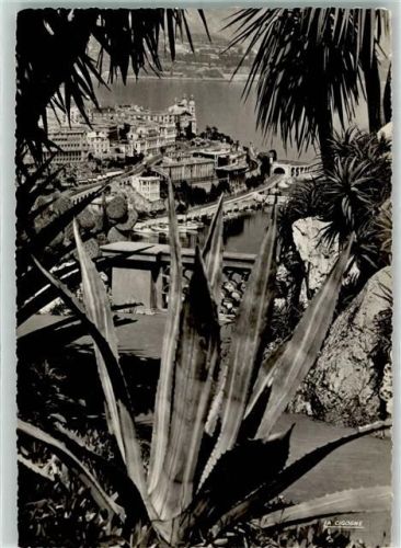 Monte Carlo