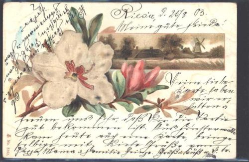1903 Prägedruck Mühle AK