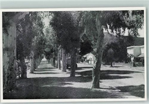 Ladismith Shady Side Walk