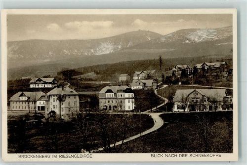 Brückenberg 1925