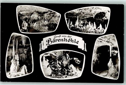 Erpfingen Bärenhöhle Innenansichten Tierskelett Höhlenstempel