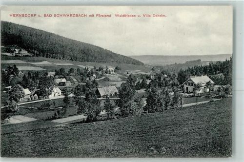 Bad Schwarzbach 1909 Försterei Waldfrieden Villa Daheim