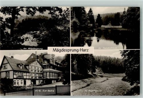 Mägdesprung Gasthaus Zur Selke Krebsbachteich Teufelsgrund