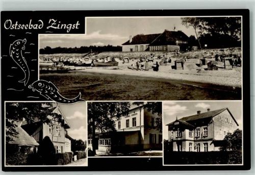 Zingst