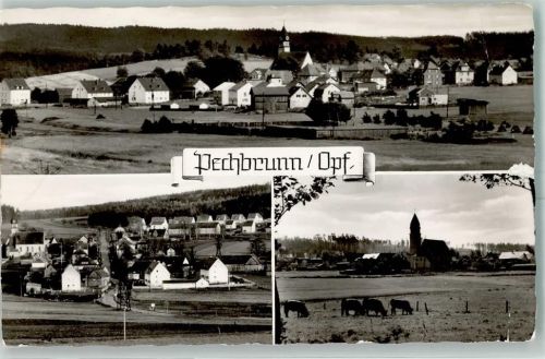 Pechbrunn Heugarben Kühe