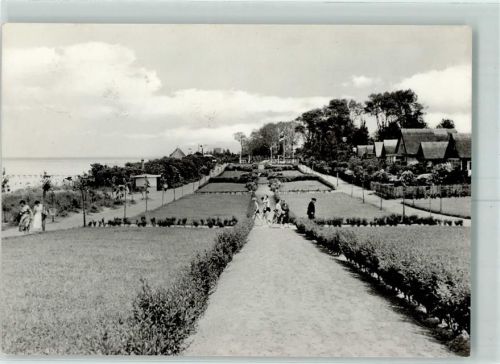 Insel Poel Schwarzer Busch
