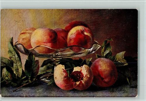 Stilleben - Früchte , Obstschale AK