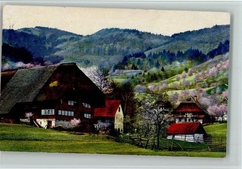 Gutach Serie 167 Nr. 2979, Schwarzwaldhaus , gute Erhaltung AK