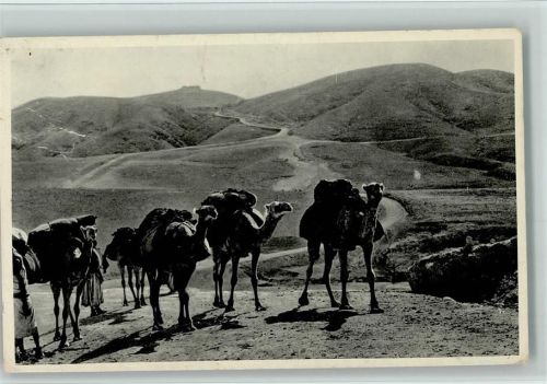 1940 Road from Jerusalem to Jericho - Karawane AK