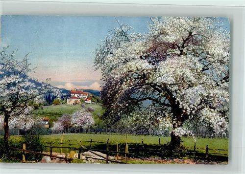 1913 Serie 143 Nr. 2695 Obstblüte in Tirol , gute Erhaltung AK