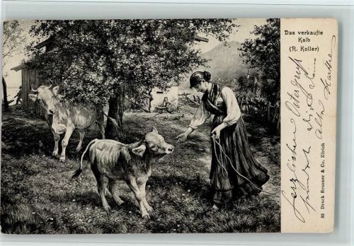 Nr. 35 Verlag Brunner & Co - Das verkaufte Kalb - Landwirtschaft , Kühe