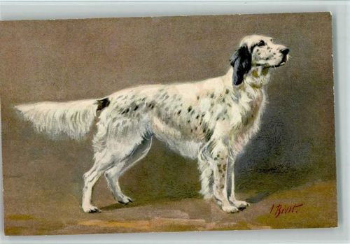 Edition Stehli Nr. 94 Spaniel - sign Birst - gute Erhaltung