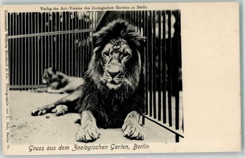 Berlin Mitte Zoologischer Garten