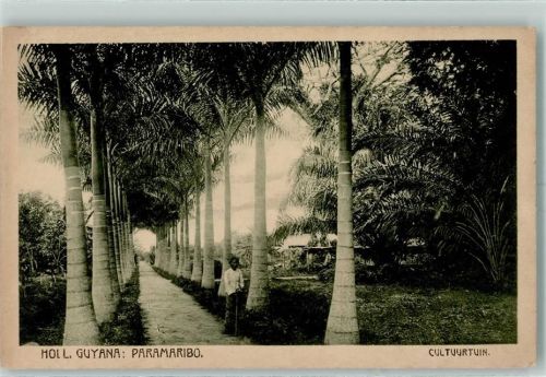 Paramaribo Cultuurtuin