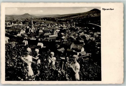53474 W5483 Ahrweiler 1940 - Weinbauern bei der Arbeit im Berg vor der Stadt