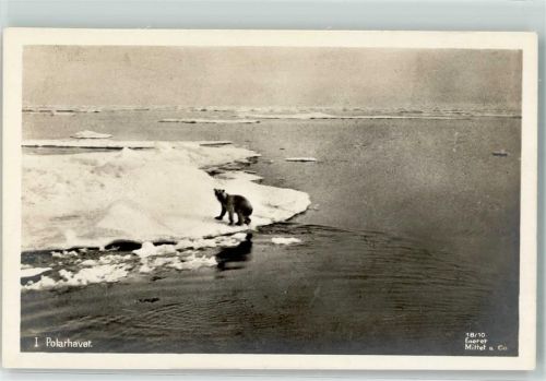 Verlag Eneret Mittet 18/10 Polarhavet