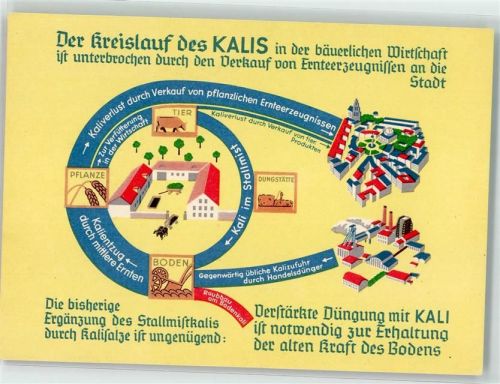 Der Kreislauf des Kalis