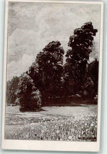 Hinterzarten Frühling im Schwarzwald Meisenbach Riffarth & Co. Nr.778