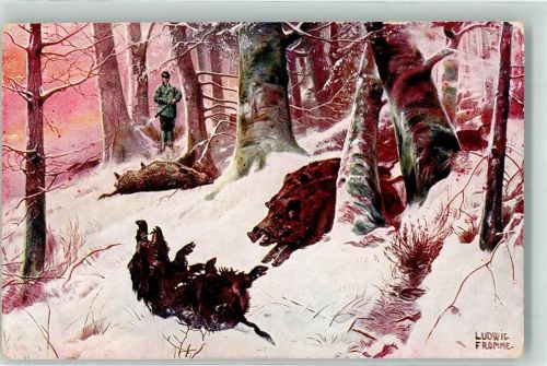 Jagd Wildschwein Jäger Winterzeit