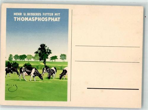 Thomasphosphat Kühe Landwirtschaft sign.