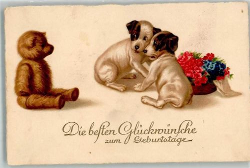 Geburtstag Welpen sind erschrocken Spielzeug