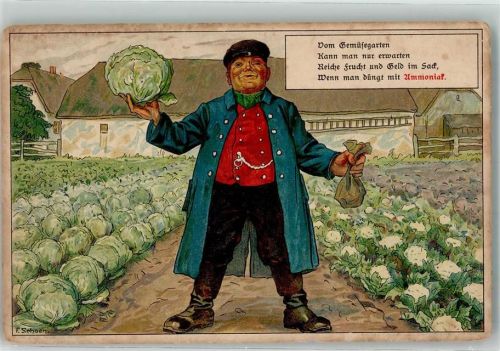 sign. F. Schoen Gemüsegarten Düngung mit Ammoniak Landwirtschaft Düngerwerbung Gebrauchsspuren