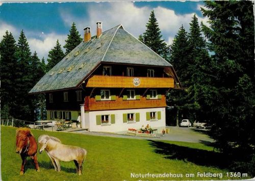 W7828 Feldberg , Schwarzwald Naturfreundehaus am Feldberg Naturfreundehaus