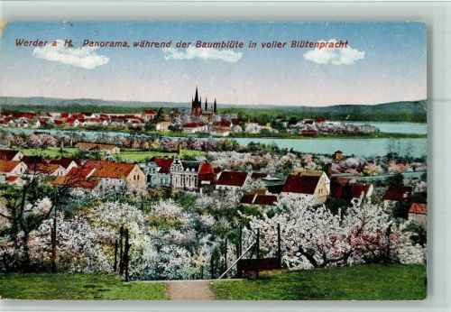 Werder Panorama während der Baumblüte in voller Blütenpracht