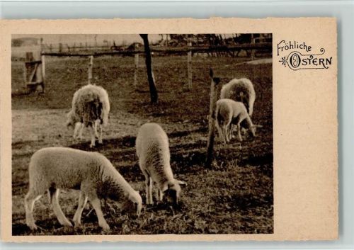 Ostern - Schafherde ca 1927 AK